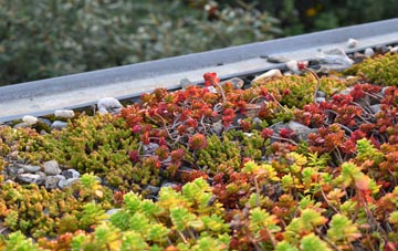 the cost of Flexford green roof installation